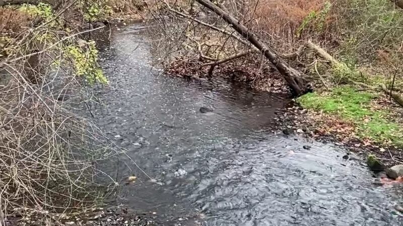 East Coast Greenway - Rahway, NJ
