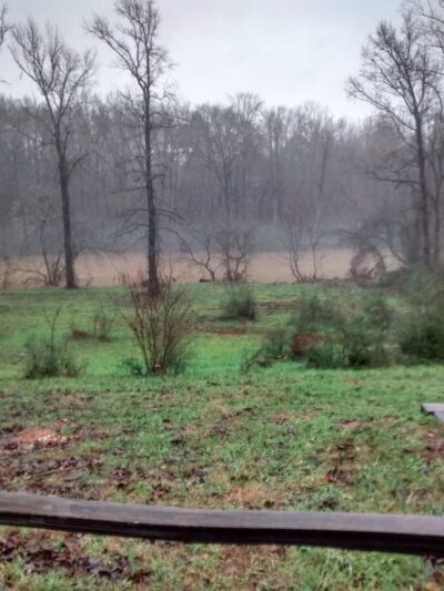 Allen H Leonard Memorial Park - Ramseur, NC