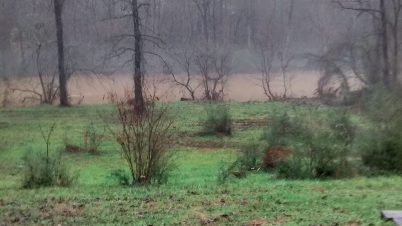 Allen H Leonard Memorial Park - Ramseur, NC