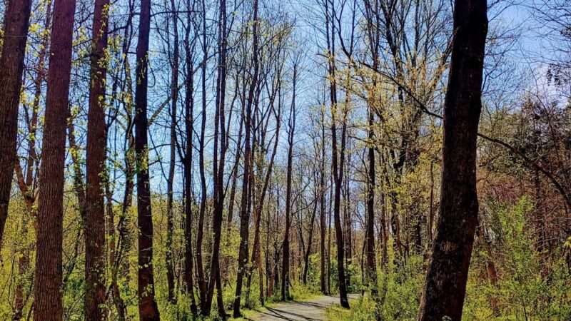 Deep River Rail Trail - Ramseur, NC