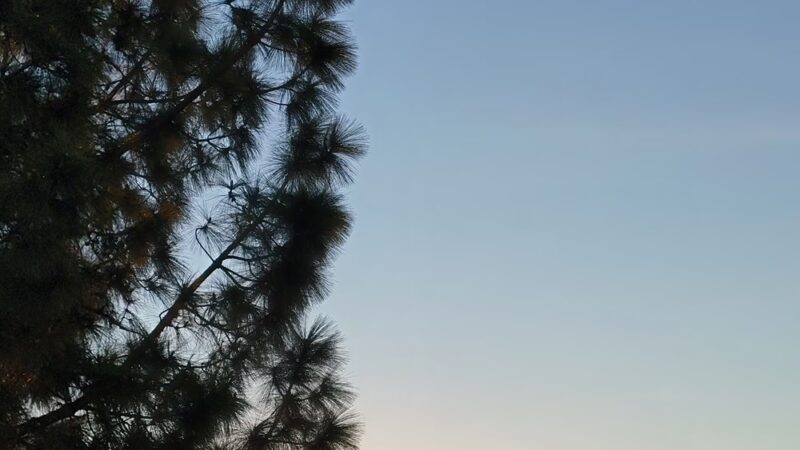 Etiwanda Creek Park - Rancho Cucamonga - Rancho Cucamonga, CA