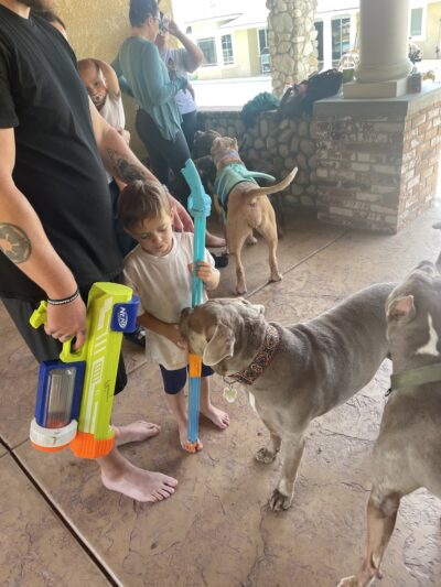 Pup Paradise (Rancho Cucamonga) Sniff Spot Private Pup Play 🐶 - Rancho Cucamonga, CA