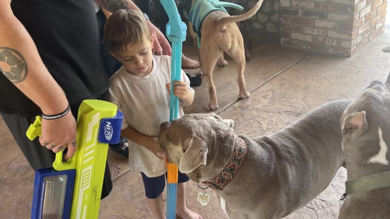 Pup Paradise (Rancho Cucamonga) Sniff Spot Private Pup Play 🐶 - Rancho Cucamonga, CA