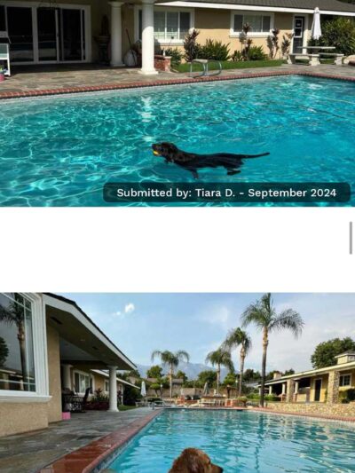 Pup Paradise (Rancho Cucamonga) Sniff Spot Private Pup Play 🐶 - Rancho Cucamonga, CA