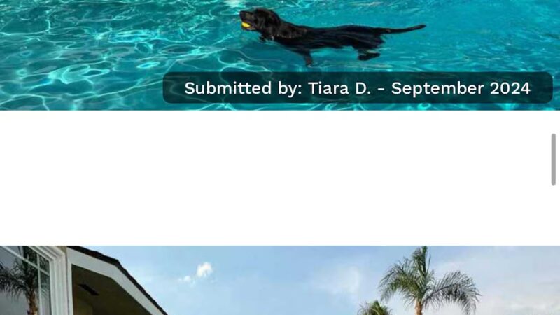 Pup Paradise (Rancho Cucamonga) Sniff Spot Private Pup Play 🐶 - Rancho Cucamonga, CA