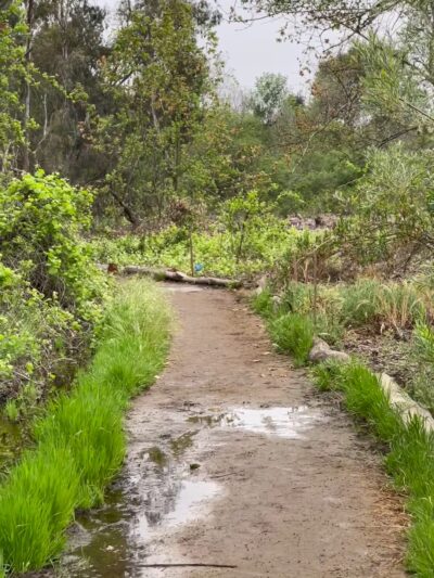La Orilla Trailhead - Rancho Santa Fe, CA