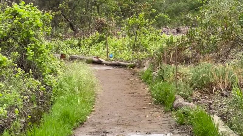 La Orilla Trailhead - Rancho Santa Fe, CA