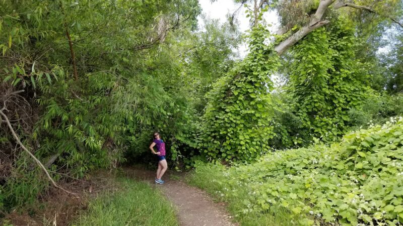 La Orilla Trailhead - Rancho Santa Fe, CA