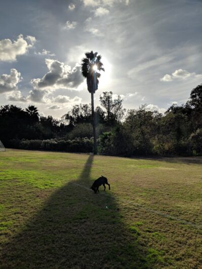 Rancho Santa Fe Field - Rancho Santa Fe, CA