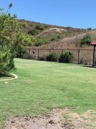 Cañada Vista Dog Park - Rancho Santa Margarita, CA