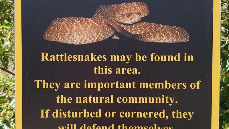 Cañada Vista Dog Park - Rancho Santa Margarita, CA