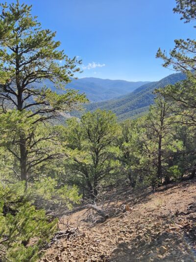 Rio Grande Del Rancho Trail 18 (North Trailhead) - Ranchos De Taos, NM