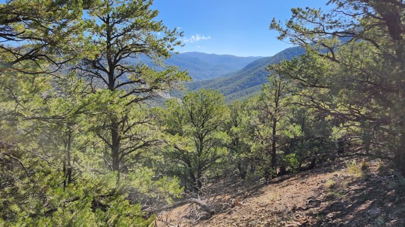 Rio Grande Del Rancho Trail 18 (North Trailhead) - Ranchos De Taos, NM