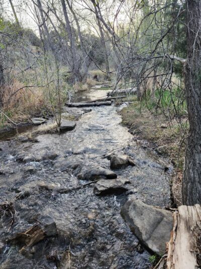Rio Grande Del Rancho Trail 18 (North Trailhead) - Ranchos De Taos, NM