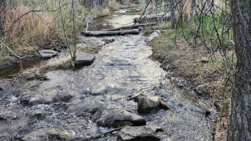 Rio Grande Del Rancho Trail 18 (North Trailhead) - Ranchos De Taos, NM
