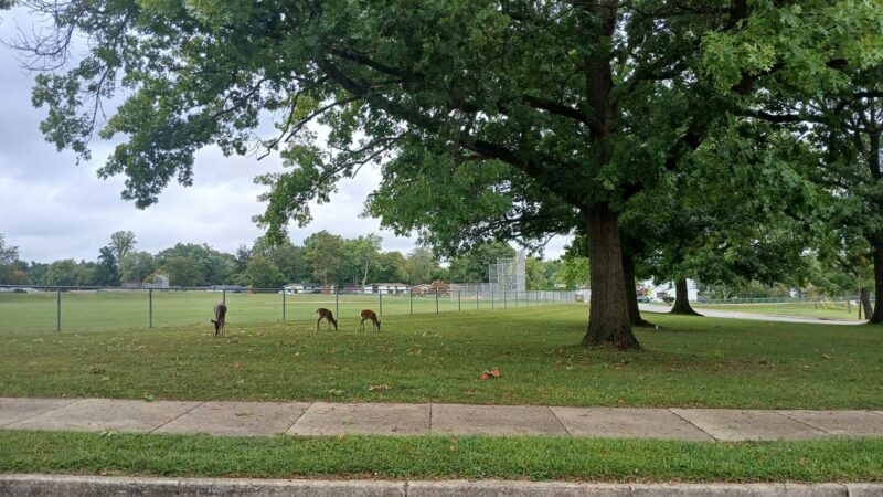 Scotts Level Park - Randallstown, MD