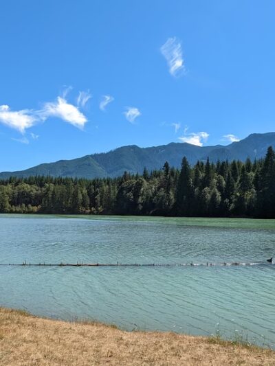 Cowlitz Falls Day Use Park - Randle, WA
