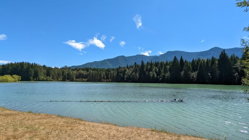 Cowlitz Falls Day Use Park - Randle, WA