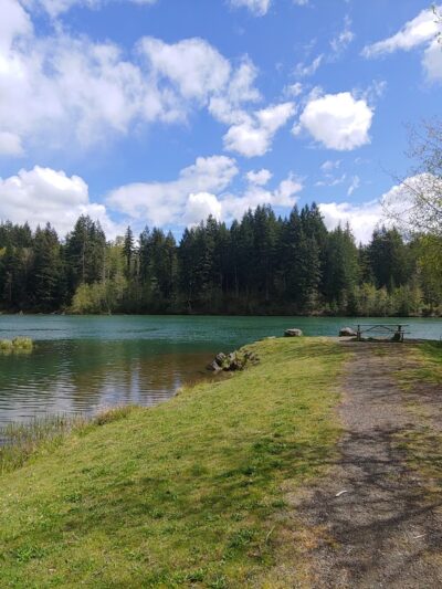 Cowlitz Falls Day Use Park - Randle, WA