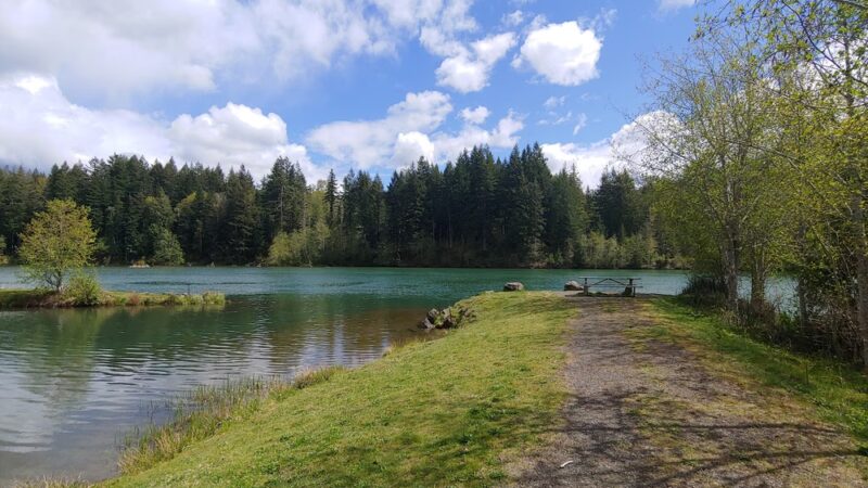 Cowlitz Falls Day Use Park - Randle, WA