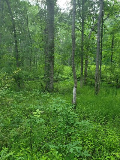 Brundage-Sussex Park - Randolph, NJ