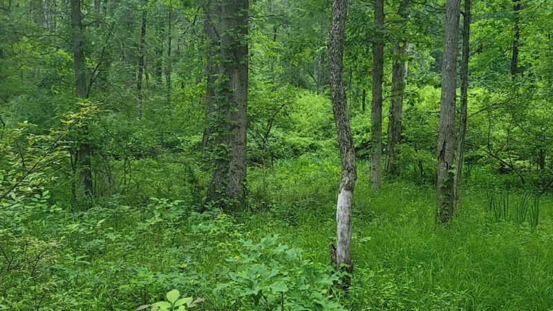 Brundage-Sussex Park - Randolph, NJ