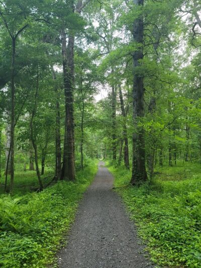 Brundage-Sussex Park - Randolph, NJ