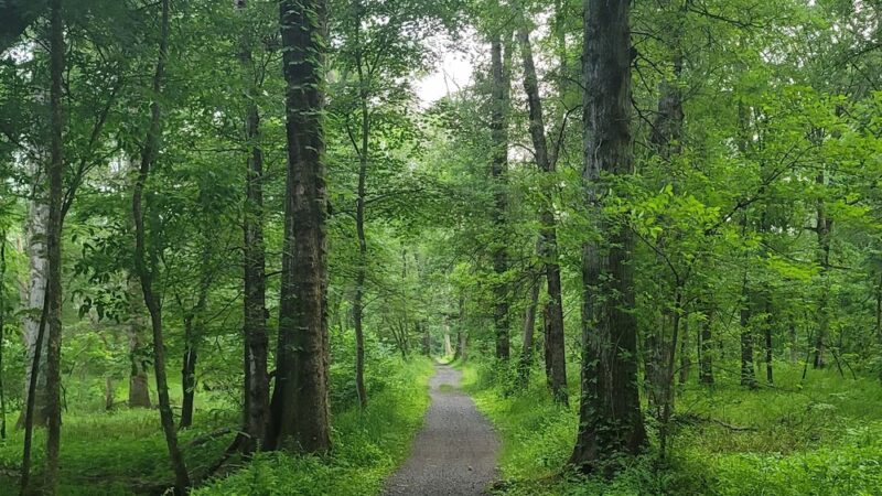 Brundage-Sussex Park - Randolph, NJ