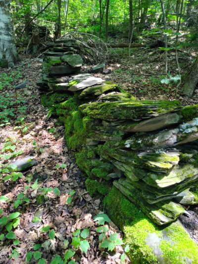 Allis State Park - Randolph, VT
