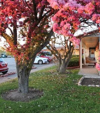 Wisconsin-Aire Motel - Random Lake, WI