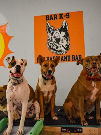Bar K-9 - Rapid City, SD