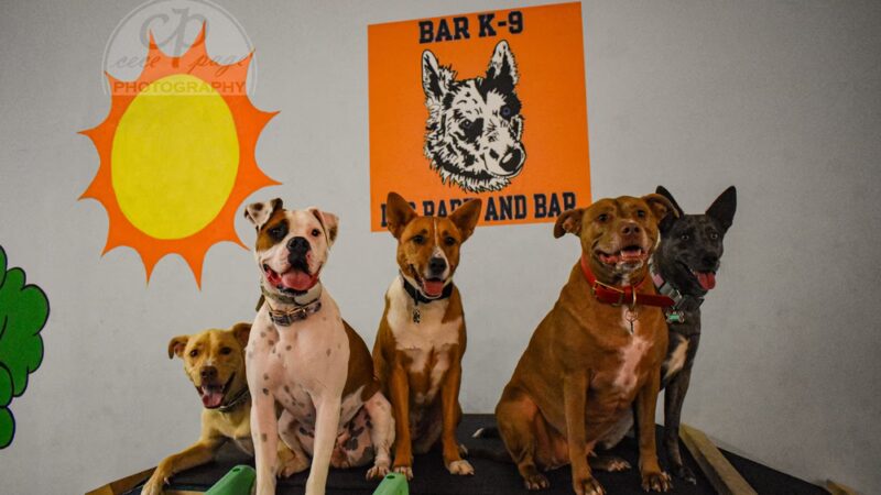 Bar K-9 - Rapid City, SD