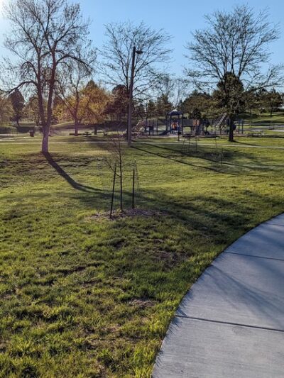 Robbinsdale Park - Rapid City, SD
