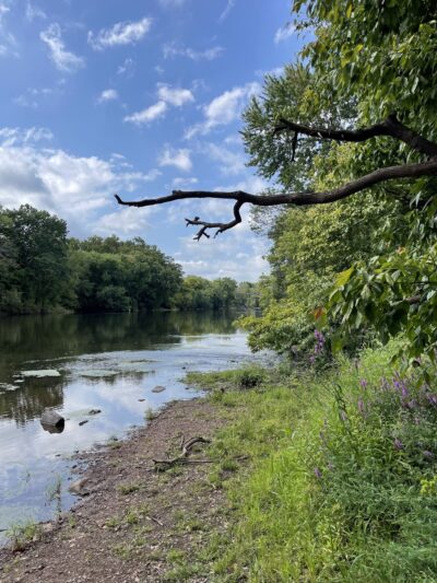 Raritan River Greenway - Raritan, NJ