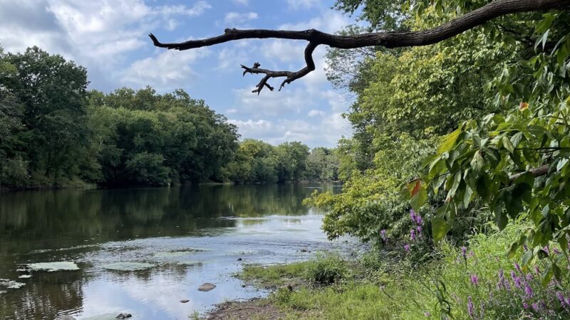 Raritan River Greenway - Raritan, NJ