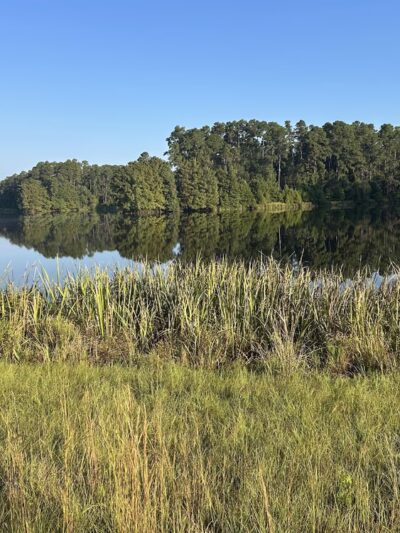 Ratcliff Recreation Area - Ratcliff, TX