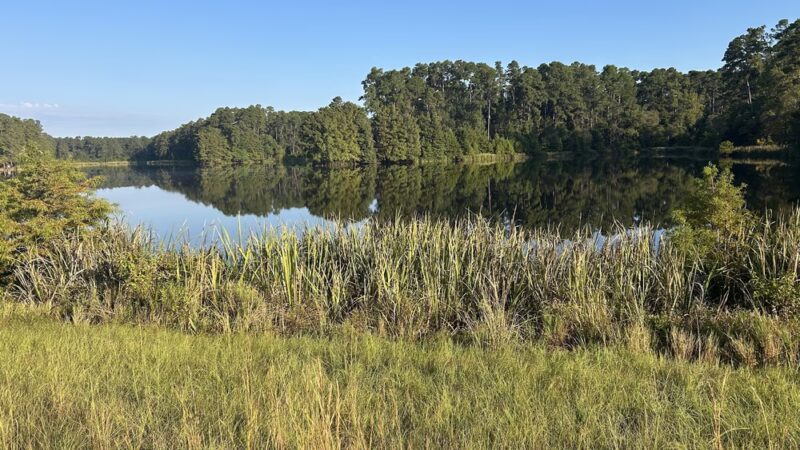 Ratcliff Recreation Area - Ratcliff, TX
