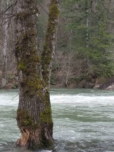 Kanaskat-Palmer State Park - Ravensdale, WA