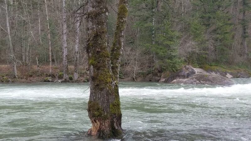 Kanaskat-Palmer State Park - Ravensdale, WA