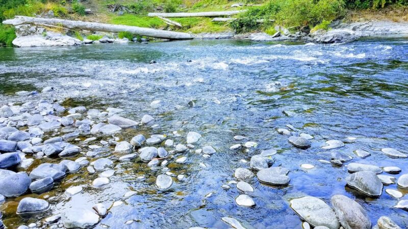 Kanaskat-Palmer State Park - Ravensdale, WA