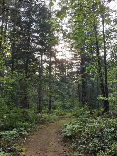 Kanaskat-Palmer State Park - Ravensdale, WA