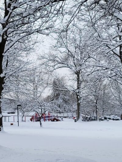 City Park - Reading, PA