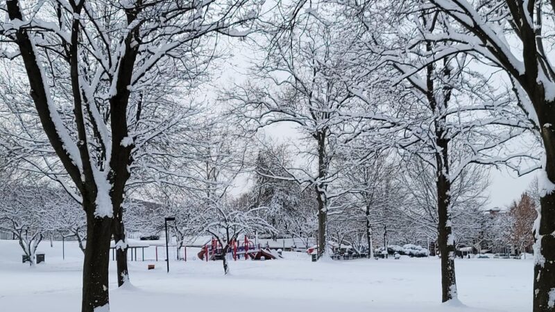City Park - Reading, PA
