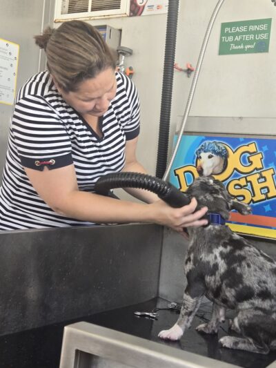 Albright Self-serve Dogwash - Reading, PA