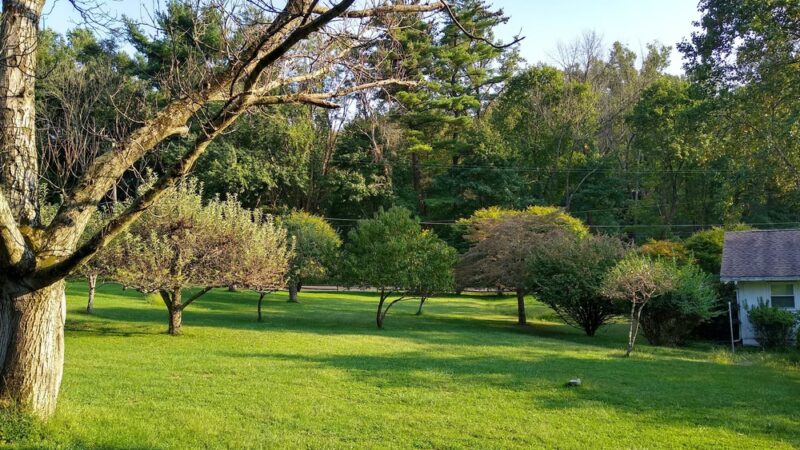 Angora Fruit Farm, Berks County Parks & Recreation - Reading, PA
