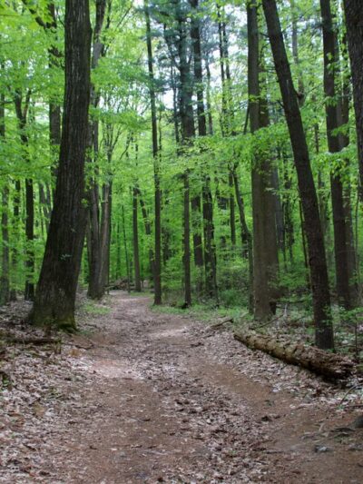 Antietam Lake Park - Reading, PA