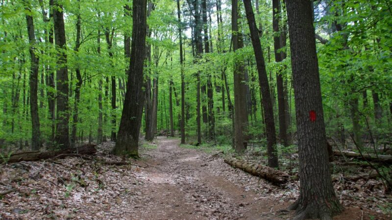 Antietam Lake Park - Reading, PA