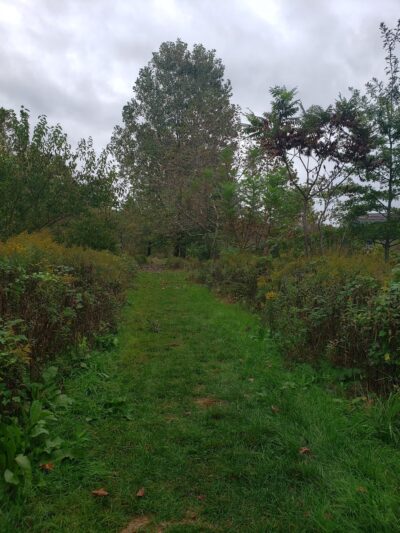 Berks Nature/The Nature Place - Reading, PA