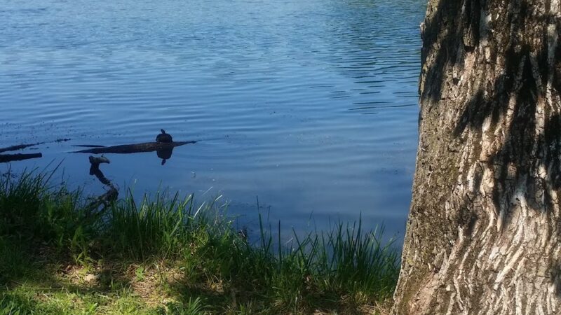 Carsonia Park - Reading, PA