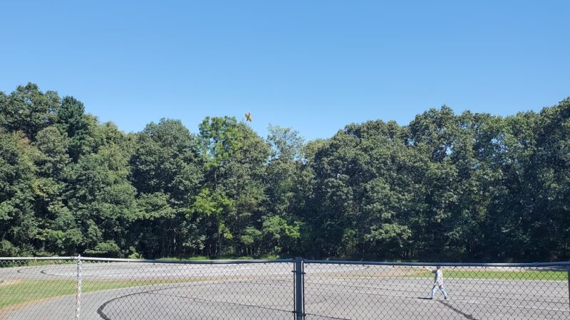 Drenkel Field - Reading, PA